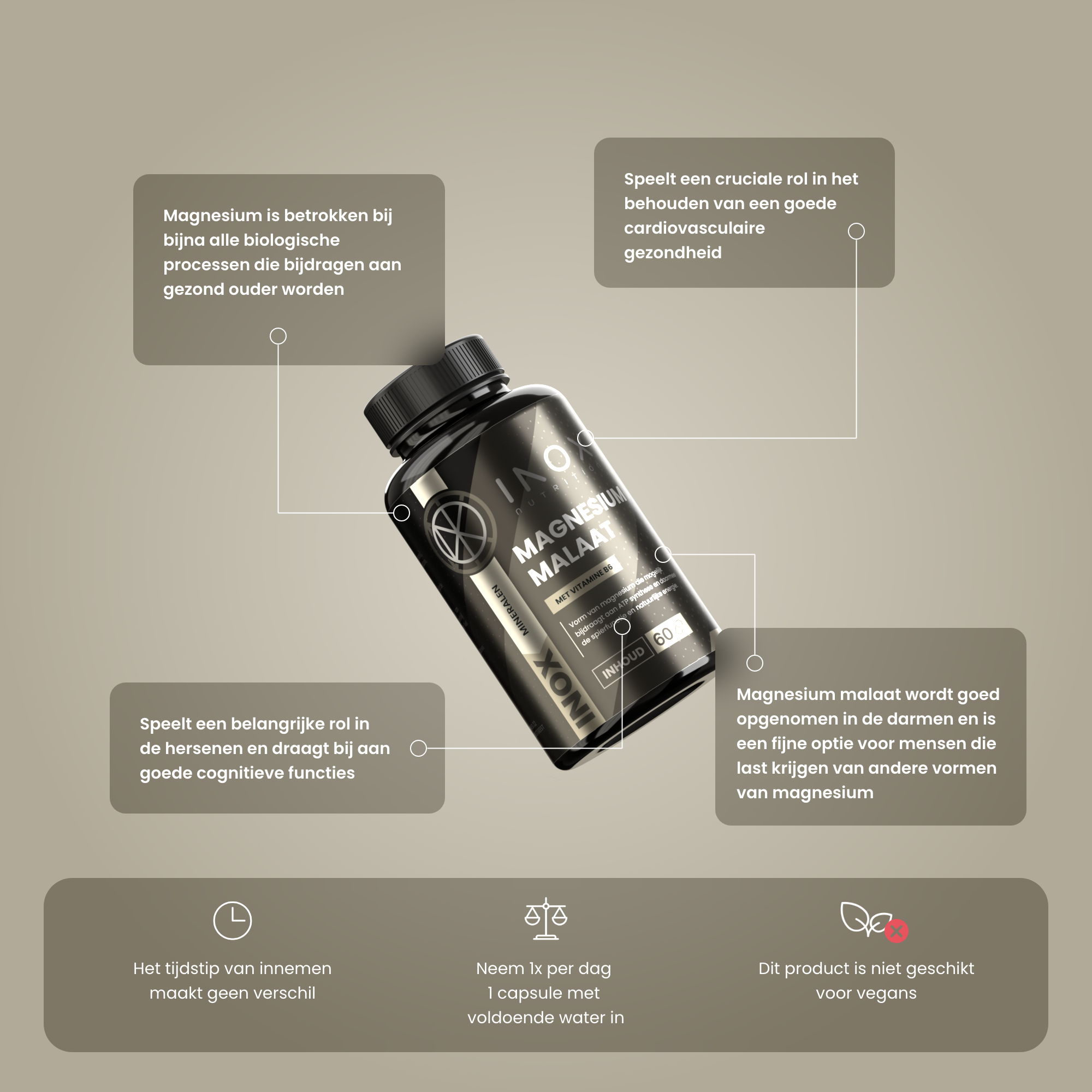 Magnesium Malaat